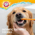 Arm & Hammer Dog Dental Kit with Enzymatic Toothpaste 2.5 oz Chicken Flavor and Baking Soda