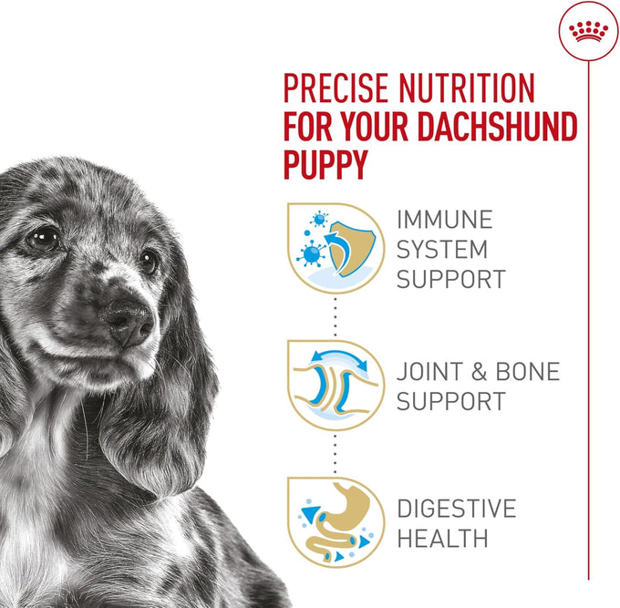 Royal Canin Dachshund Puppy Dry Dog Food, 2.5 lb Bag