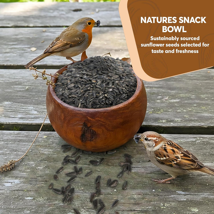 15 LB Black Oil Sunflower Seeds for Birds - Premium Wildlife Food - Non-GMO - Grown in the USA