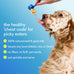 native pet the daily dog vitamins & supplements 11-in-1 multivitamin powder for dogs supports whole body health digestion mobility & immunity