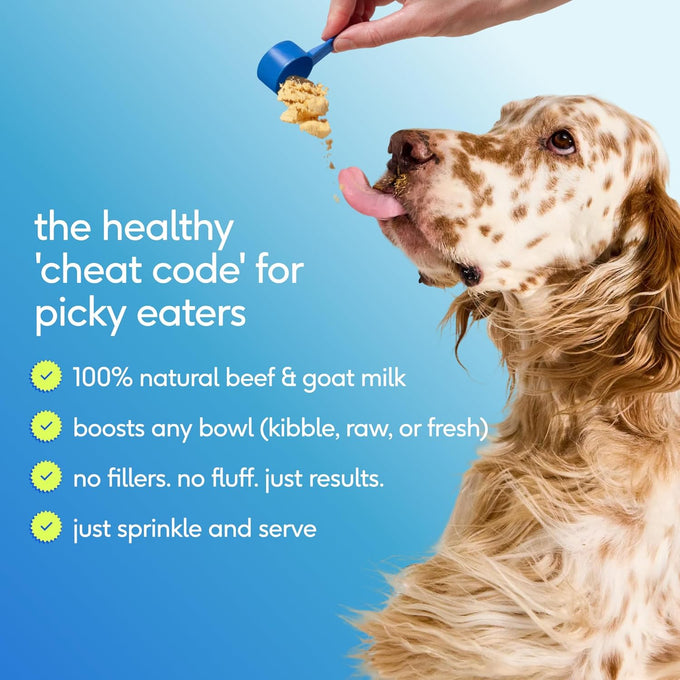 native pet the daily dog vitamins & supplements 11-in-1 multivitamin powder for dogs supports whole body health digestion mobility & immunity