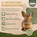 9lb Organic Alfalfa Hay for Small Animals Rich in Protein & Fiber - USA Grown, Hand-Selected, Fresh Dried