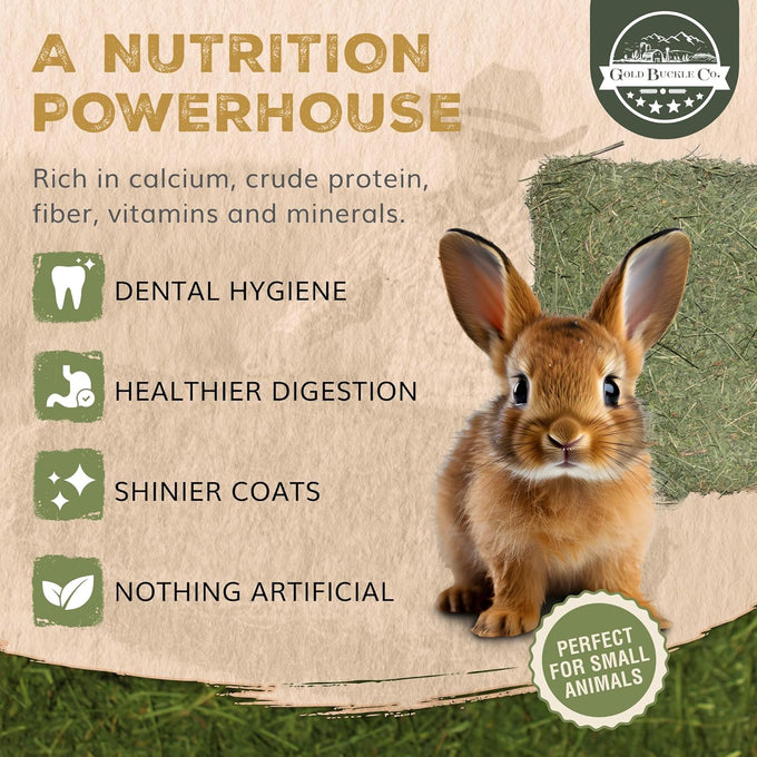 9lb Organic Alfalfa Hay for Small Animals Rich in Protein & Fiber - USA Grown, Hand-Selected, Fresh Dried