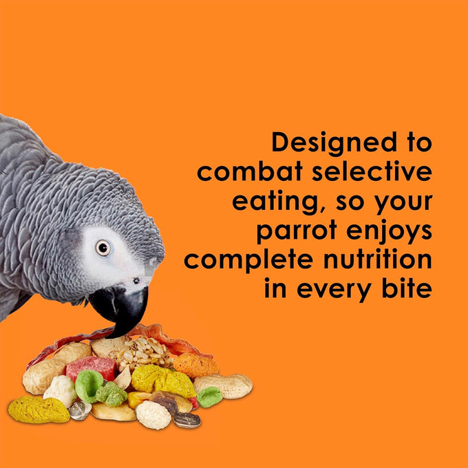 kaytee fiesta parrot food 2.5 pounds nutritious fun blend supports skin feather digestion brain heart health