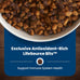 Blue Buffalo Puppy Dry Dog Food, Chicken & Brown Rice, 5 lb