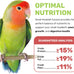 Small Hookbill Cuisine, 4 Lbs Premium Birdseed for Parrot Food, Supports Daily Energy and Digestive Health