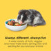 Kaytee Fiesta Hamster and Gerbil Food, 4.5 Pounds, Nutritious and Fun Blend for Dental Health and Digestion