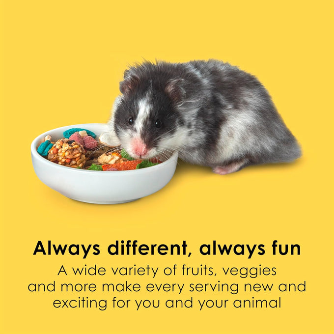 Kaytee Fiesta Hamster and Gerbil Food, 4.5 Pounds, Nutritious and Fun Blend for Dental Health and Digestion
