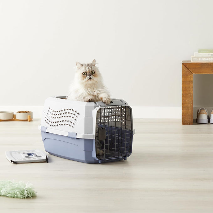 Amazon Basics sturdy gray and blue pet travel carrier for dogs and cats, 22.8"L x 15"W x 13"H