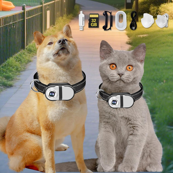 HD 1080P Pet Camera Collar with Video Record Wireless Mini Sport Cam, Small Action Cameras for Pet Supplies