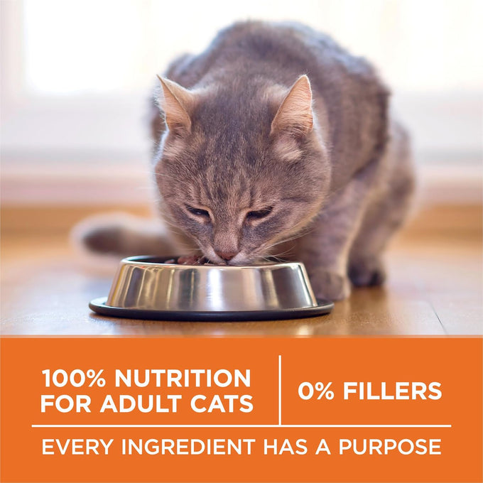 Purina ONE High Protein, Healthy Plus Ideal With Chicken Dry Cat Food for Weight Control, 7 lb Bag, Crunchy Kibble