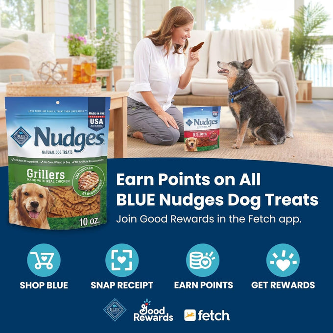 Blue Buffalo Nudges Jerky Bites Dog Treats 5-oz Bag, Made in USA with Natural Chicken Ingredients