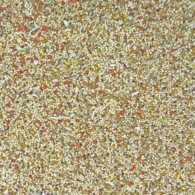 Higgins sunburst gourmet blend parakeet food 2 pack 2 pounds each with protein egg food