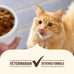 Rachael Ray Nutrish Indoor Complete Chicken, Lentils & Salmon Recipe Dry Cat Food, 6 lb.