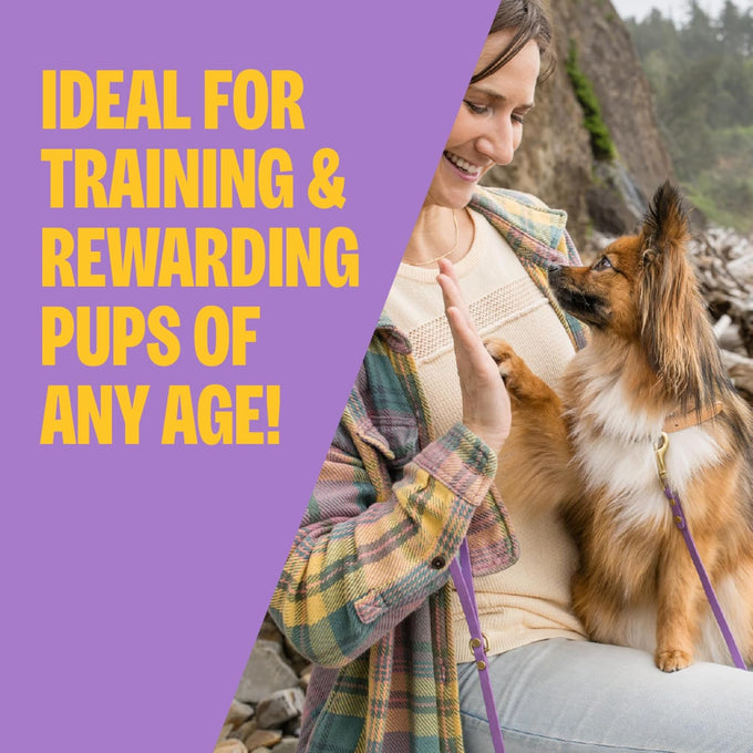 Wellness Soft Puppy Bites Dog Training Treats, Lamb and Salmon, Grain Free, 8 oz Bag