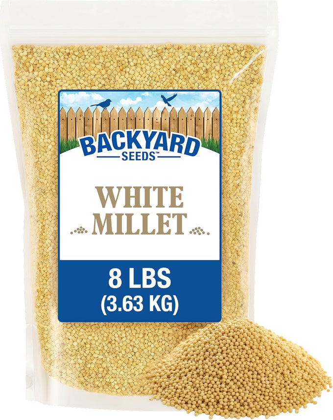 CountryMax White Millet Bird Seed - 8 lb USA Grown Premium Finch Food for Wild Birds
