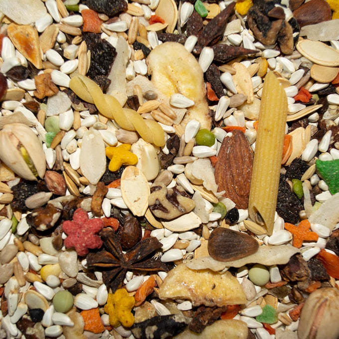 volkman avian science super african grey bird food 4lb for african grey parrots and amazons