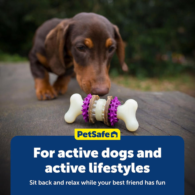 PetSafe Busy Buddy Bristle Bone Dog Chew Toy, Purple, Medium for Hard Chewers, Durable, Interactive, Teeth Cleaning
