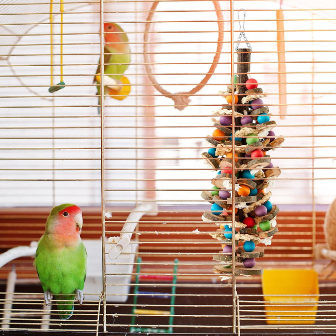 seenelling 3pcs large multicolored wooden parrot cage chewing toys for macaws african greys cockatoos