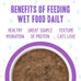 Weruva B.F.F. cat food, 2.8oz cans, pack of 12, grain-free, gluten-free, beef & salmon in gravy