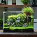 Vimvins 3 gallon frameless glass fish tank for betta, goldfish, snails, shrimp and aquatic planting