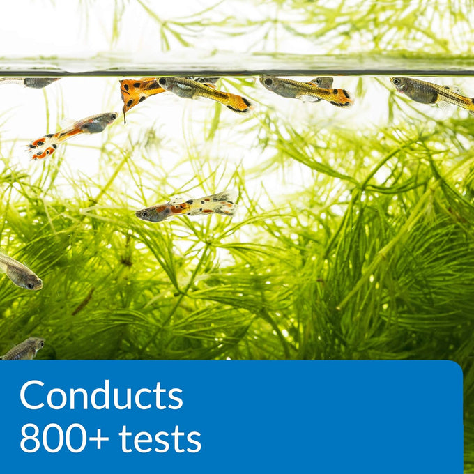 api freshwater master test kit 800-test freshwater aquarium water quality monitoring kit, multi-colored, white, single