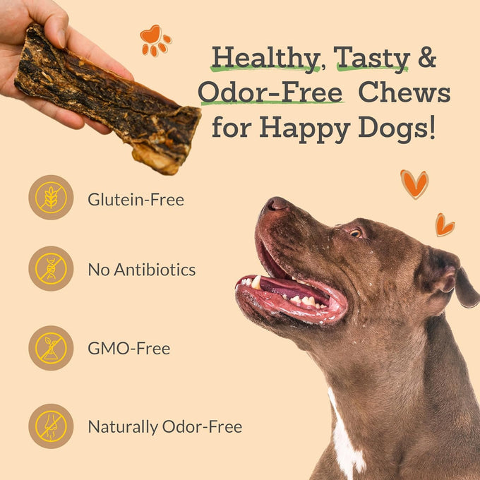Advance Pet Products Premium Buffalo Gullet Flat Jerky Dog Treats, Natural & Gluten-Free Chews for Large, Medium & Small Breed Dogs, 30 Count, 1lb