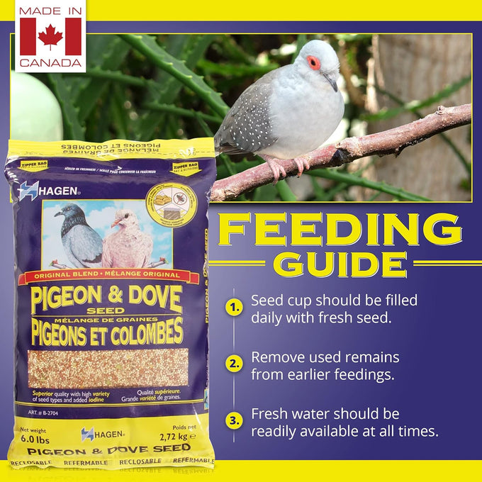 hagen original formula pigeon & dove seed nutritionally complete 6 lb bag
