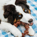 Nylabone Power Chew Toy Bundle for Large Dogs, up to 50 lbs, 3 Pack, Flavor Medley