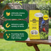 Black Oil Sunflower Seeds, 15 Pounds, Wild Bird Food, No Grow Seed, Attracts Songbirds