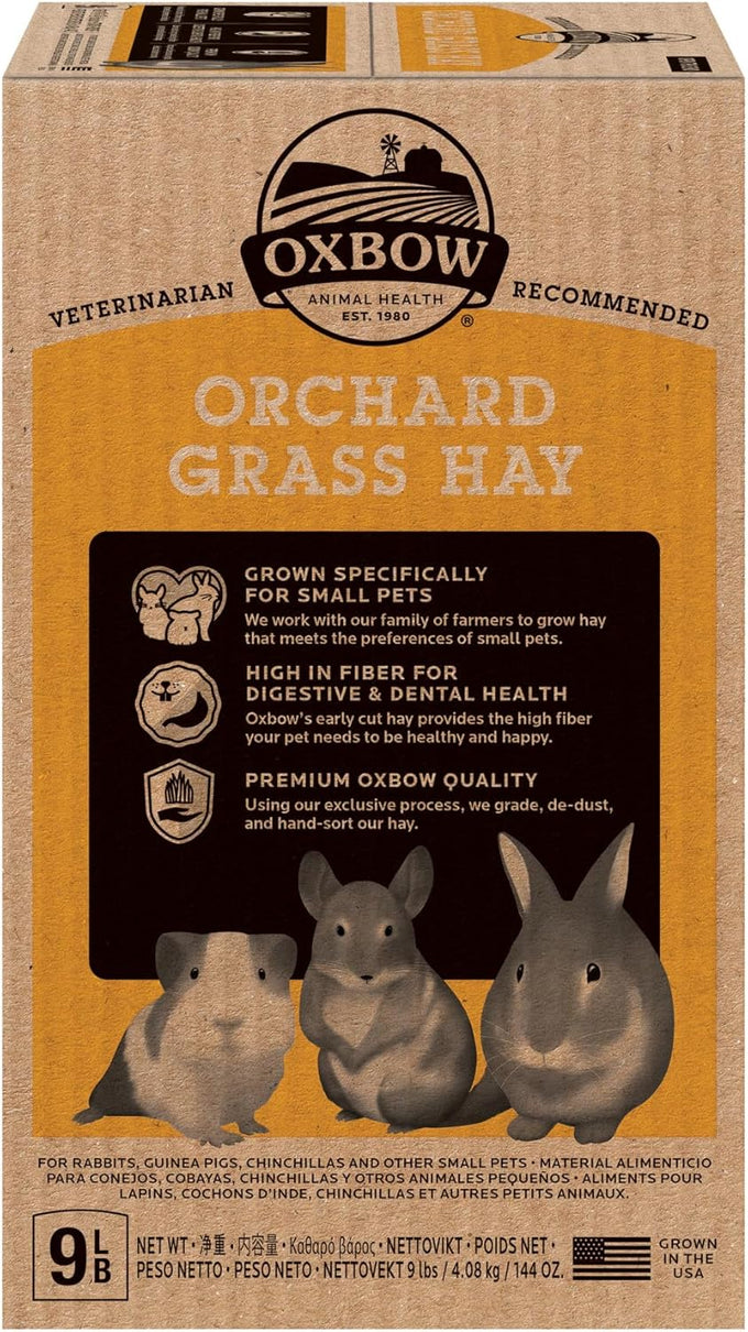 oxbow all natural orchard grass guinea pig hay, small pet rabbit supplies, premium quality, usa grown