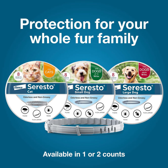 Seresto cat vet-recommended flea tick treatment prevention collar 8 months protection for cats