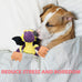 goola purple dragon dog toy, plush squeaky toy for large breeds, durable cotton, machine washable, 5 squeakers, chew toys
