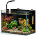 2.5 Gallon Small Fish Tank Aquarium Kit with Ultra-Clear Glass and LED Light for Desktop or Beginner Use