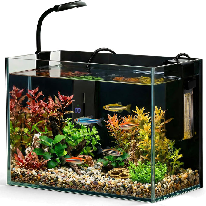 2.5 Gallon Small Fish Tank Aquarium Kit with Ultra-Clear Glass and LED Light for Desktop or Beginner Use