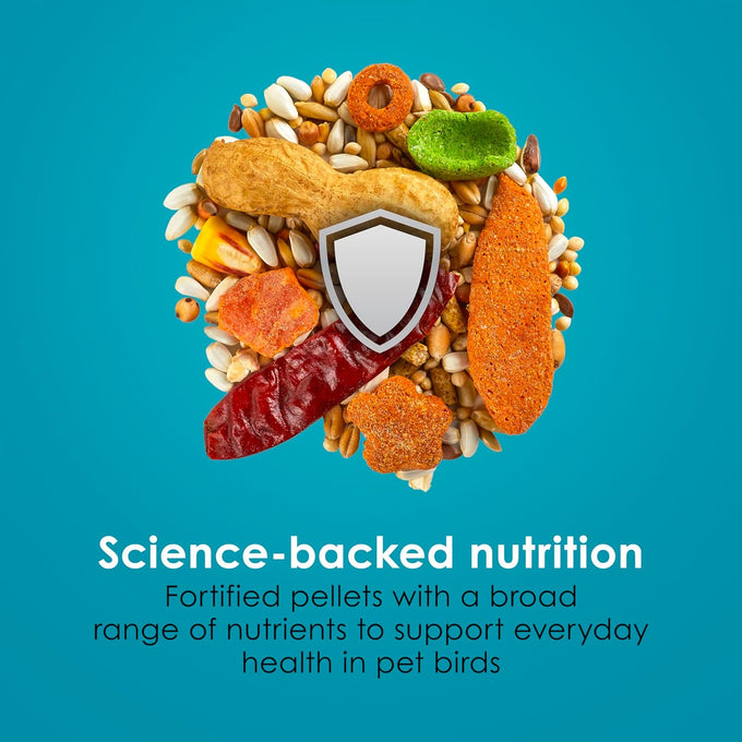 Kaytee Forti-Diet Pro Health+Safflower Nourish+Protect Parrot Food, 4 pounds, Supports Breeding, Molting, and Brain Health