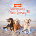 Nylabone Power Chew Toy Bundle for Large Dogs, up to 50 lbs, 3 Pack, Flavor Medley