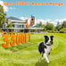Dog shock collar for 2 dogs, 3300ft remote range with real-time dual-channel control, orange, fits 8-120 lbs all breeds sizes
