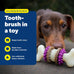 PetSafe Busy Buddy Bristle Bone Dog Chew Toy, Purple, Medium for Hard Chewers, Durable, Interactive, Teeth Cleaning