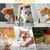 5pcs cute sushi plush catnip toys with bell and feathers for indoor cat boredom relief