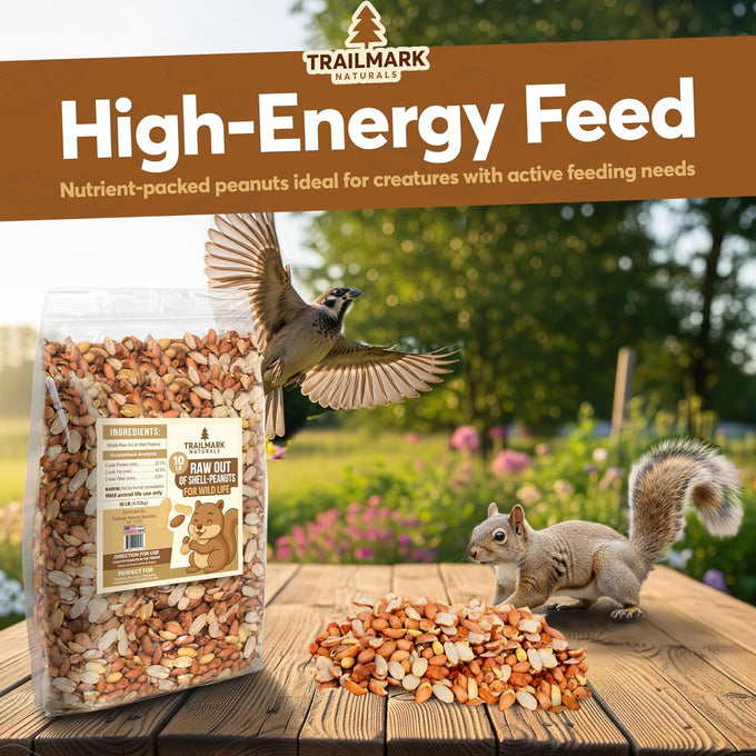 Raw shelled peanuts for squirrels and wildlife, unsalted and grown in the USA, 25 lb bulk