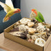 Nature Color Natural Bird Toy Foraging Parrot Shredding Toys Box for Small-Medium Birds