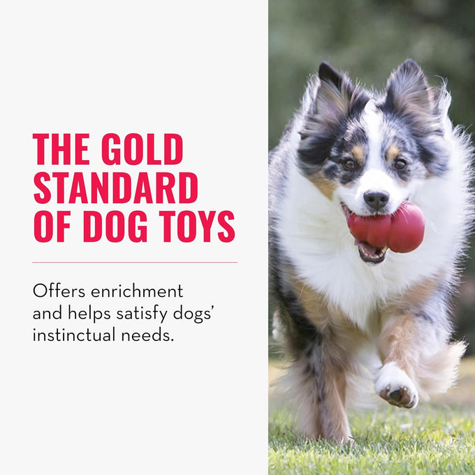 Kong classic red rubber stuffable dog toy for large dogs, treat-filling and erratic bounce