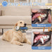 BuyPow Monkey Squeaky Dog Chew Toys, Interactive Tug of War Puppy Toys for Small, Medium, Large Dogs Soft and Durable