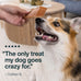 Just Food for Dogs Human Grade Chicken Breast Jerky Treats, Single Ingredient, Grain Free, Low Calorie, Rawhide Free, 5 oz