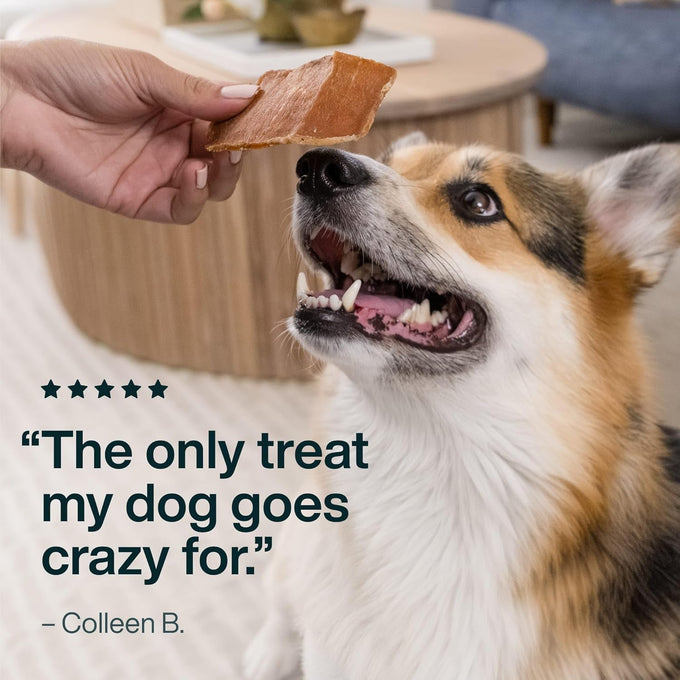 Just Food for Dogs Human Grade Chicken Breast Jerky Treats, Single Ingredient, Grain Free, Low Calorie, Rawhide Free, 5 oz