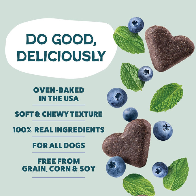 Shameless Pets Soft-Baked Dog Treats, Blueberried Treasure: Natural & Healthy Treats for Training & Immune Support, 6oz, Grain-Free