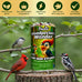 Woodpecker bird seed cylinders with hole – premium woodpecker food blend, USA made, 4" x 7.75"