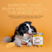 Smart Cookie All Natural Dog Treats - Rabbit & Pumpkin - Training Treats for Dogs & Puppies with Allergies
