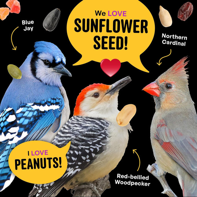 Cool Birds 10 lb. Gourmet Bird Seed with Sunflower Hearts, Peanuts & Real Fruit for Outside Feeders